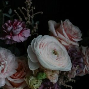 Profile photo of Nancy